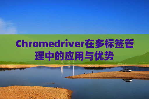 Chromedriver在多标签管理中的应用与优势